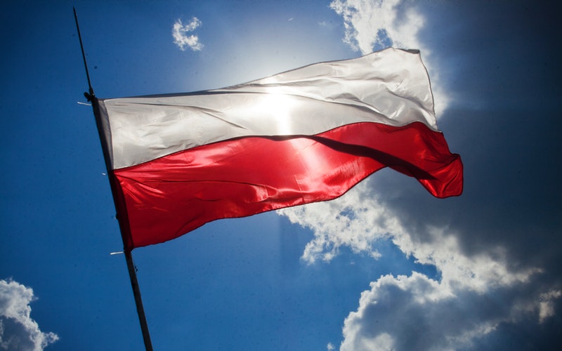 Polonia: Aumentan los casos de PPA en doméstico
